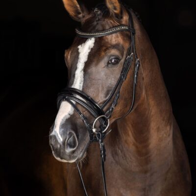 Gant d’équitation Antana, whit