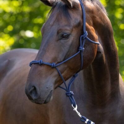 Sangle courte droite, 80 cm