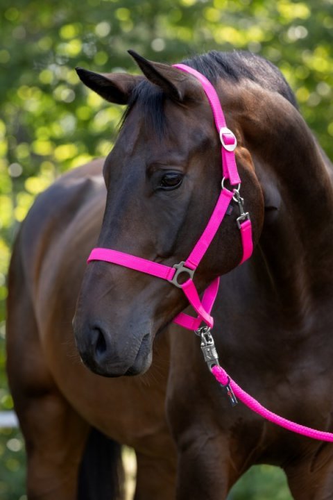 Licol en nylon Hippo, cheval,