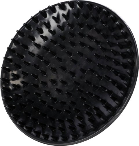 Étrille à petits picots en cao