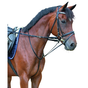 Enrênement Thiedemann noir, poney