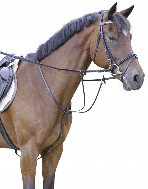 Martingale en cuir, noire poney