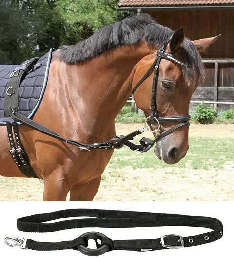 Enrênement, noir par paire, poney