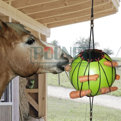 Balle à jouer chevaux à suspendre