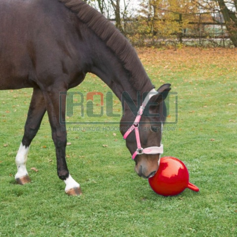 Balle à jouer chevaux 25cm rouge