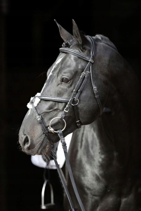 [3297736] Bridon Cancun noir, Full