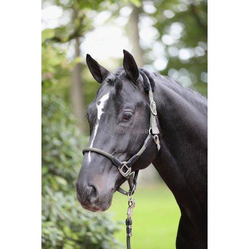 [3297740] Licol Cordano olive, Pony