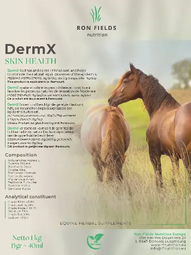 [2024011] DERMX 1kg