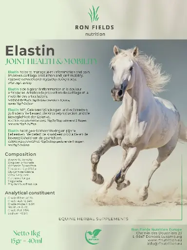 [2024001] Elastin 1kg