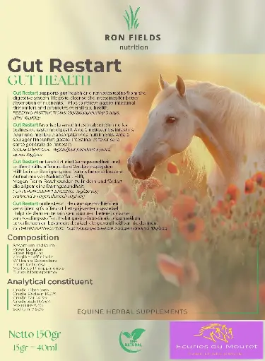 [2024013] Gut restart 150g
