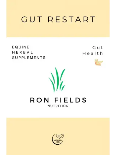 [2024013] Gut restart 150g