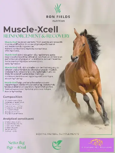 [2024006] Muscle-Xcell 1kg